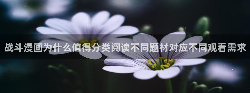 漫蛙漫画免费看漫画入口:战斗漫画为什么值得分类阅读不同题材对应不同观看需求