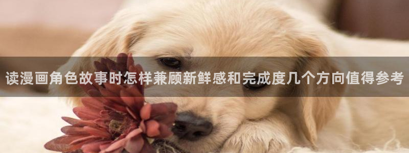 漫蛙漫画人气漫画排行:读漫画角色故事时怎样兼顾新鲜感和完成度几个方向值得参考