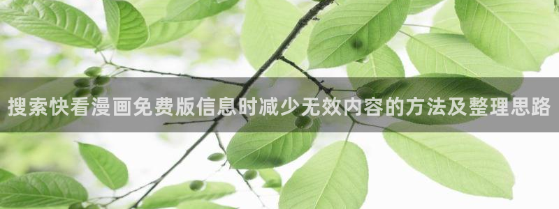 漫蛙漫画在线漫画网站：搜索快看漫画免费版信息时减少无效内容的方法及整理思路